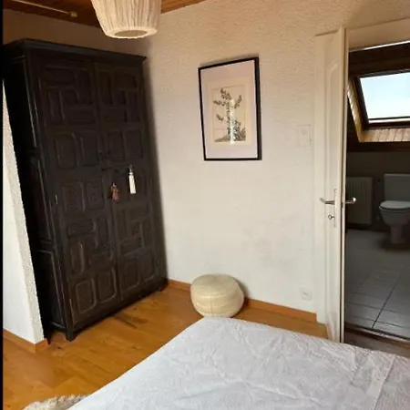 Apartment Vue Et Emplacement Exceptionnels, Toutes Commodités, Desservi Bus Lausannois Pully